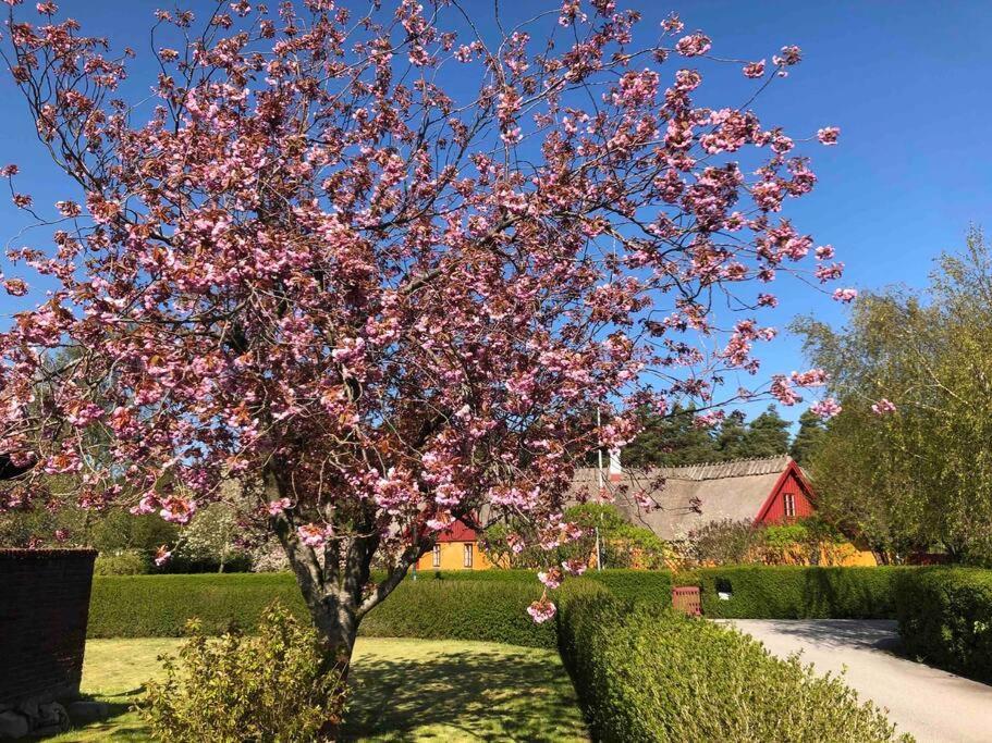 Villa Lyckehusen Loddekopinge Luaran gambar